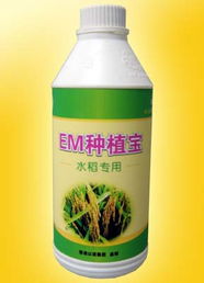 廣州以諾生物科技推出‘em種植寶’水稻專用產(chǎn)品，助力綠色農(nóng)業(yè)發(fā)展
