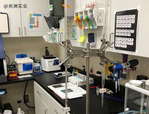 oem odm進口食品貼牌代工生產(chǎn) 央洲實業(yè)